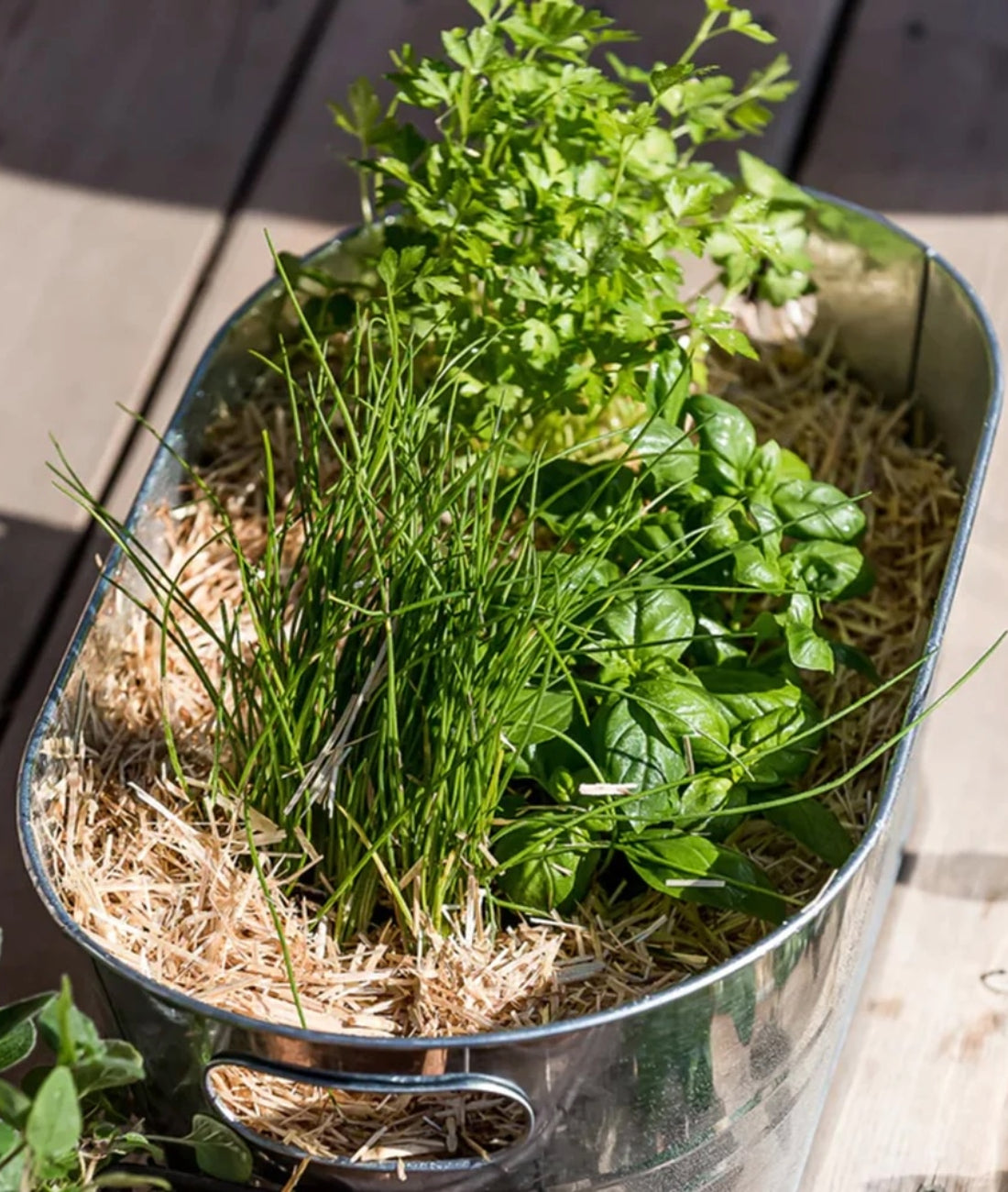 10 Tips for Using Straw Mulch in Your Garden
