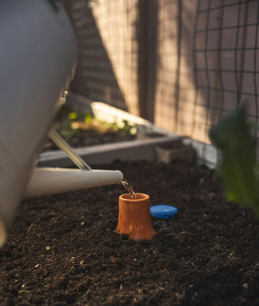 Filling up an Oya™ watering pot from GrowOya with a watering can.