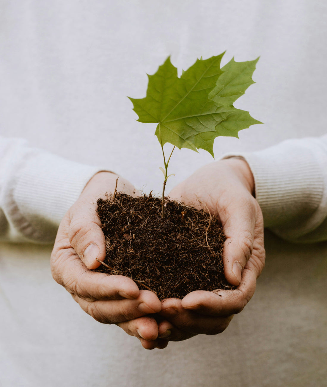 The Power of Regeneration