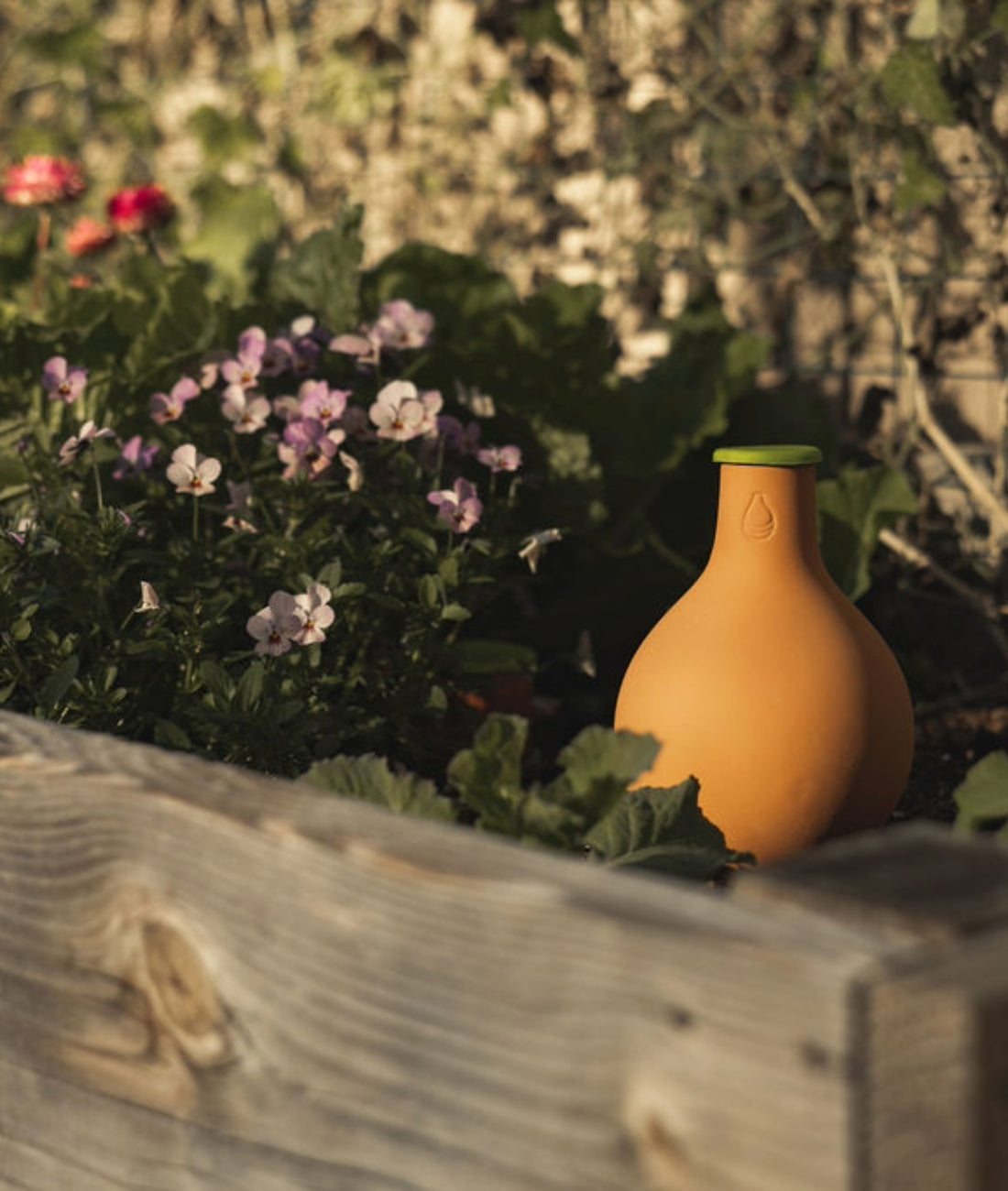 Oya watering pot sitting on top of a raised garden bed