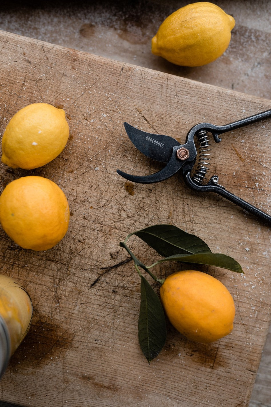 Pruner With Sheath