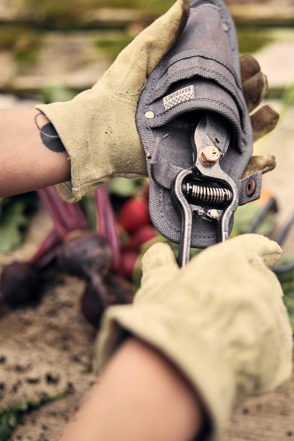 Pruner With Sheath
