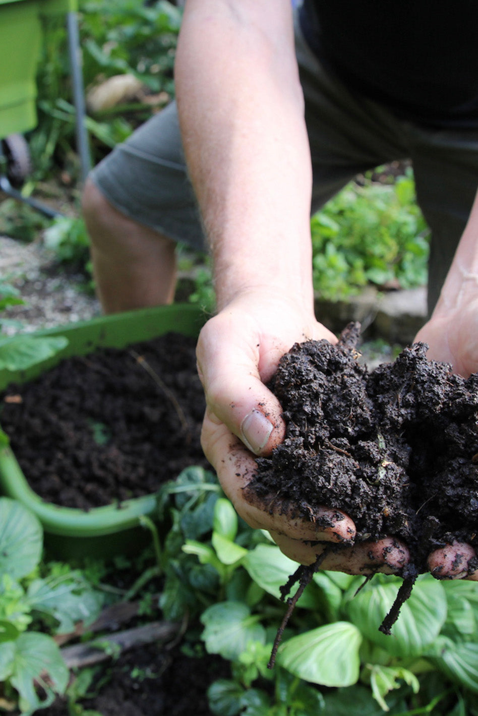 Hungry Bin Composter