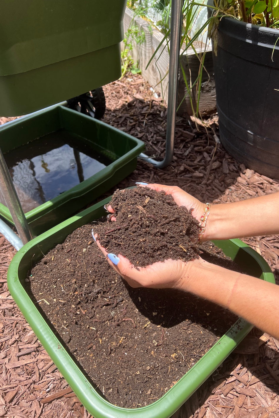 Hungry Bin Composter