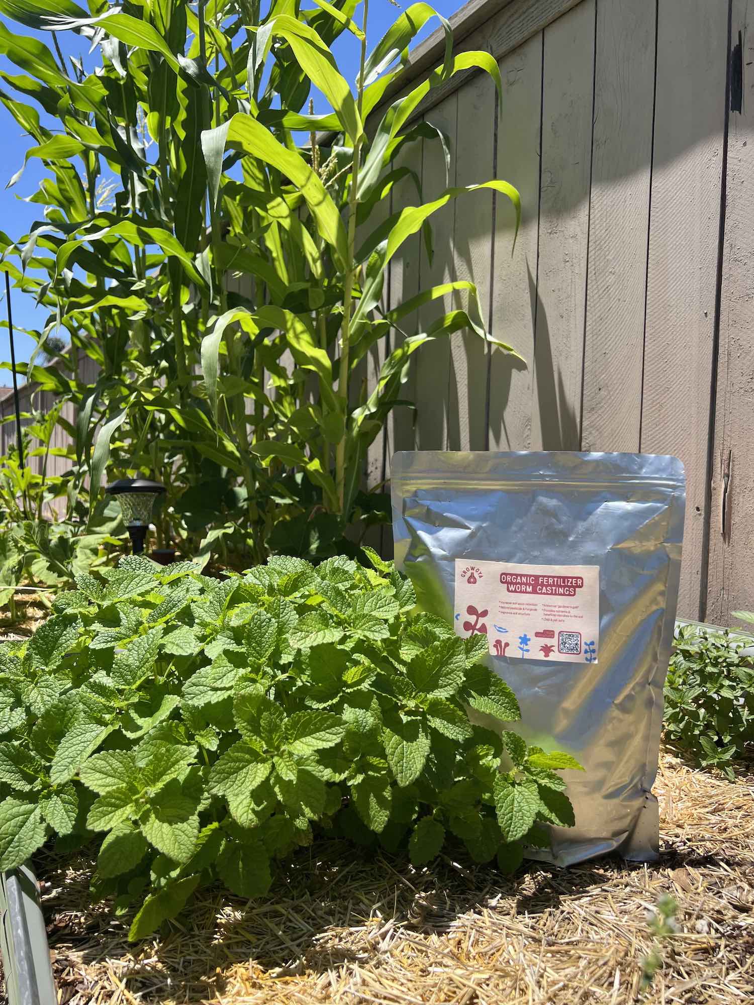 worm fertilizer for plants Organic Fertilizer