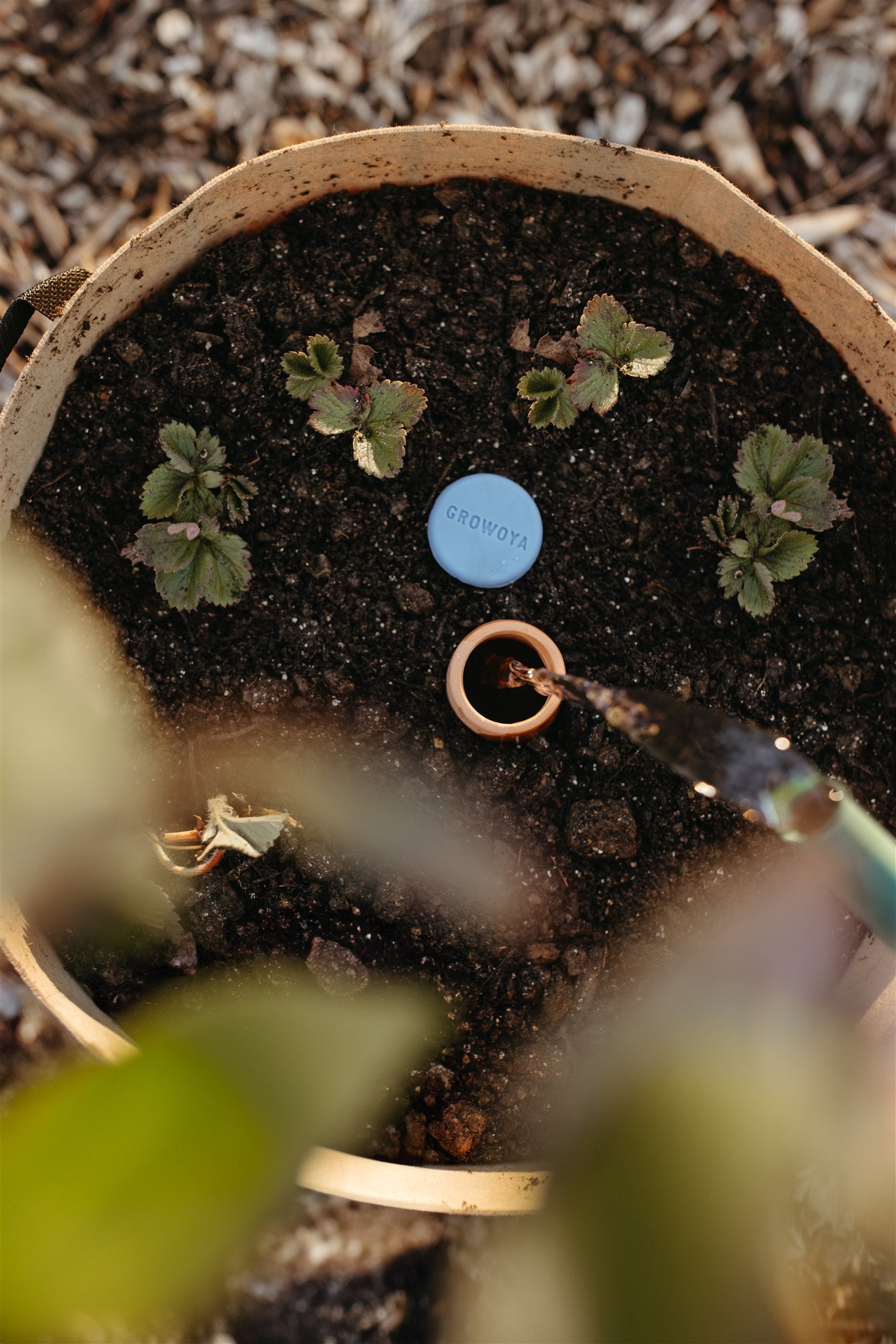 Oya™ Grow Bag Combo