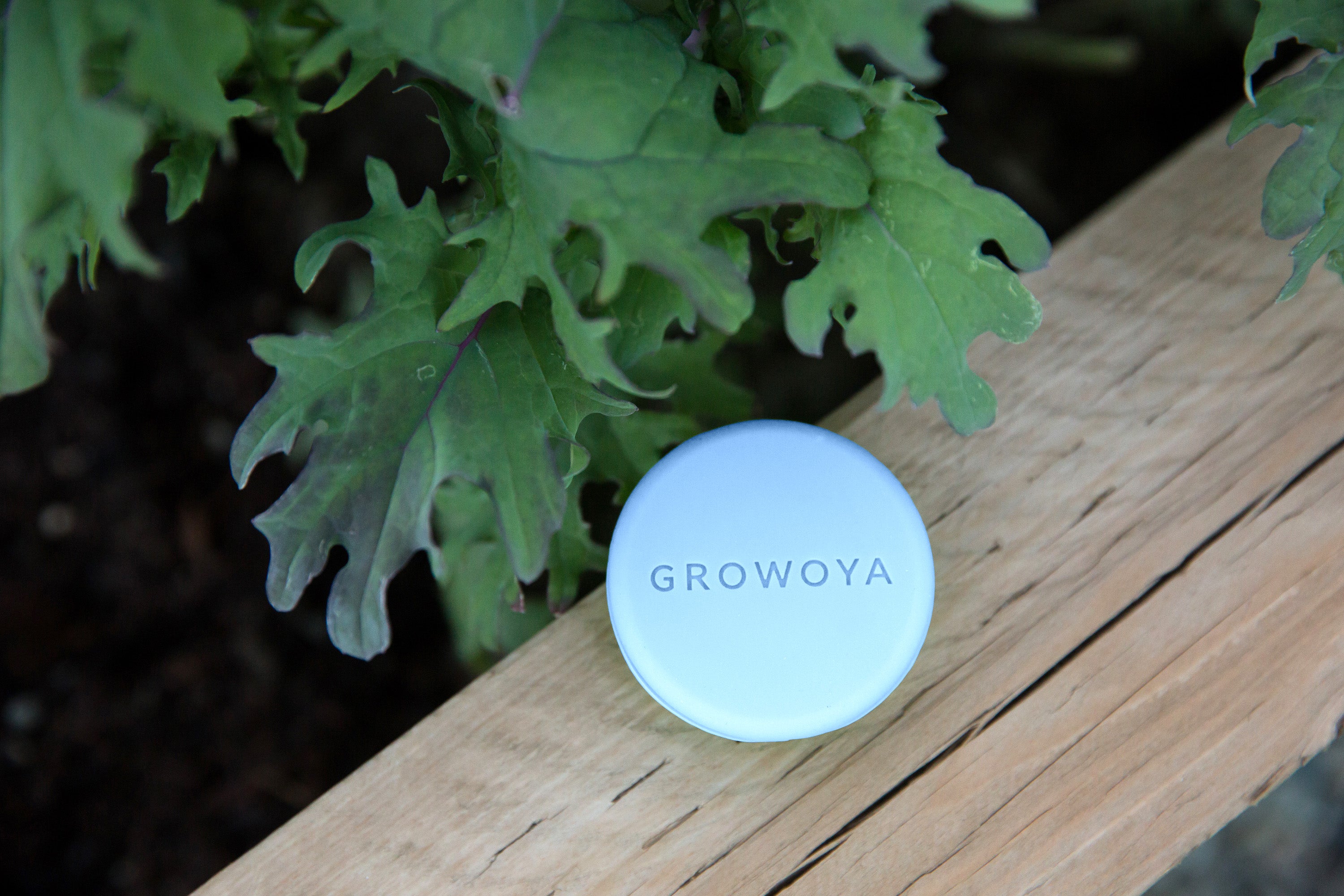 Extra Lids for Oya™ Watering Pot and Spike