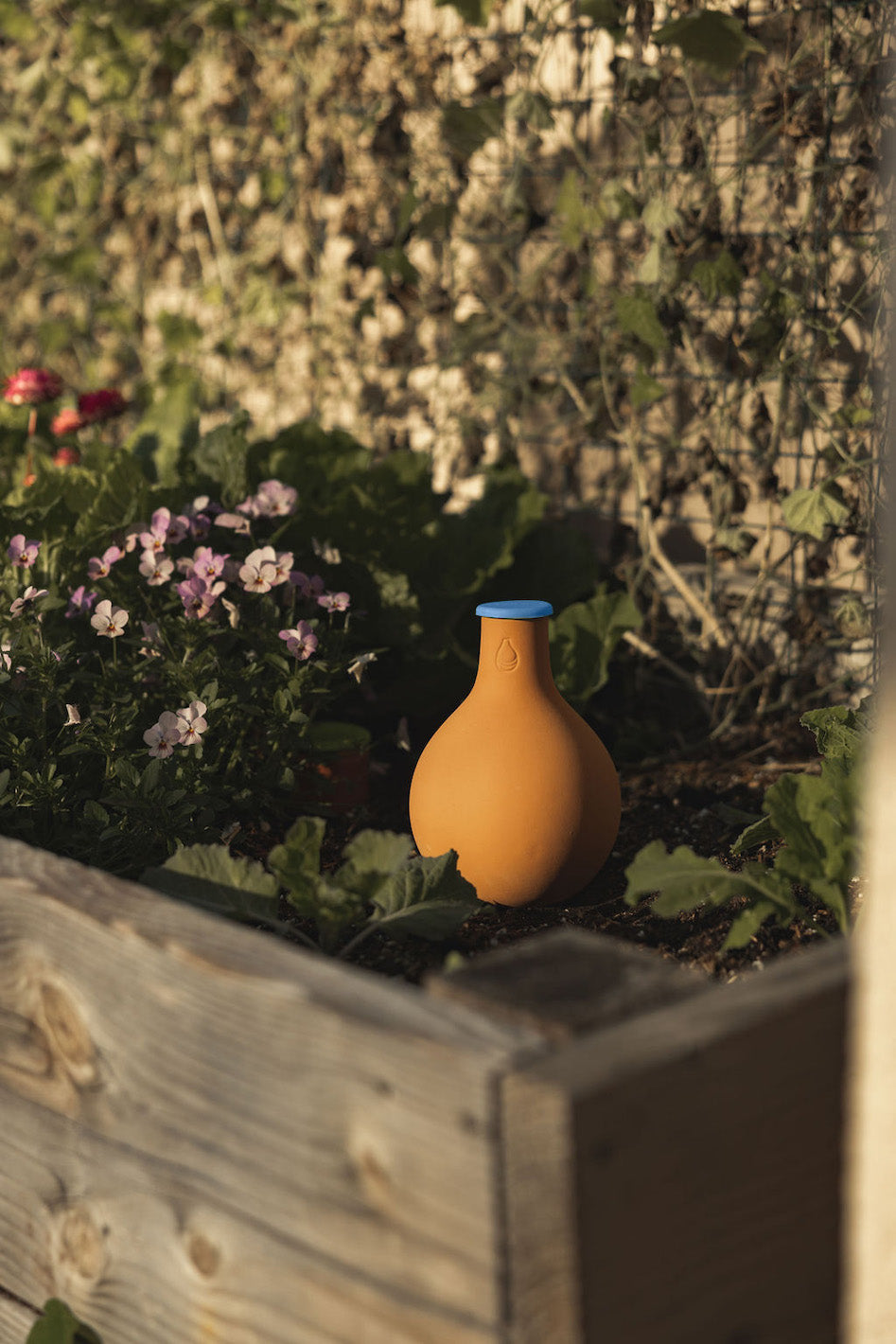 water pot for plants GrowOya: Medium Oya