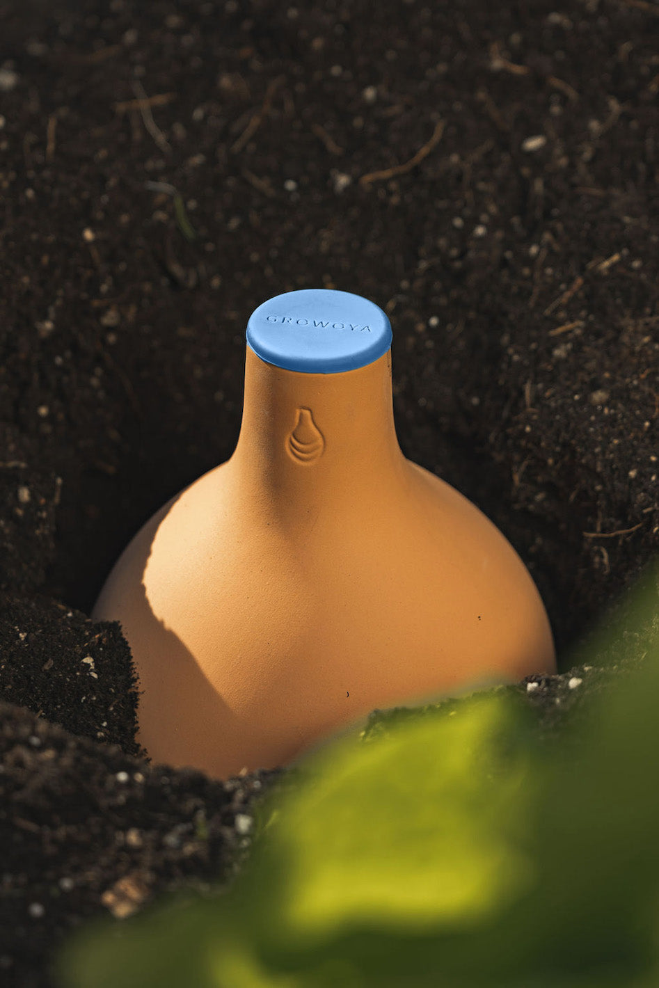 A buried Oya Watering pot in a garden
