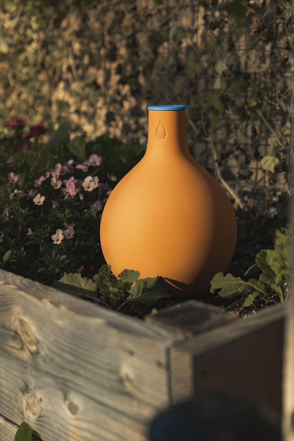 GrowOya Oya Watering Pot in a Large Size sitting in a garden #size_large