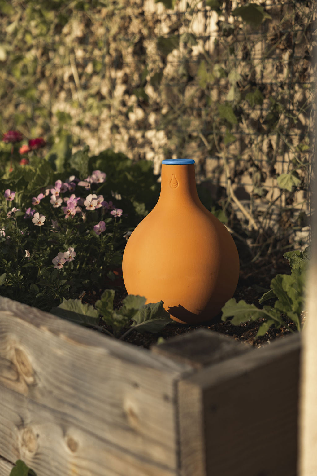 GrowOya Oya Watering Pot Medium Size sitting in a garden #size_medium
