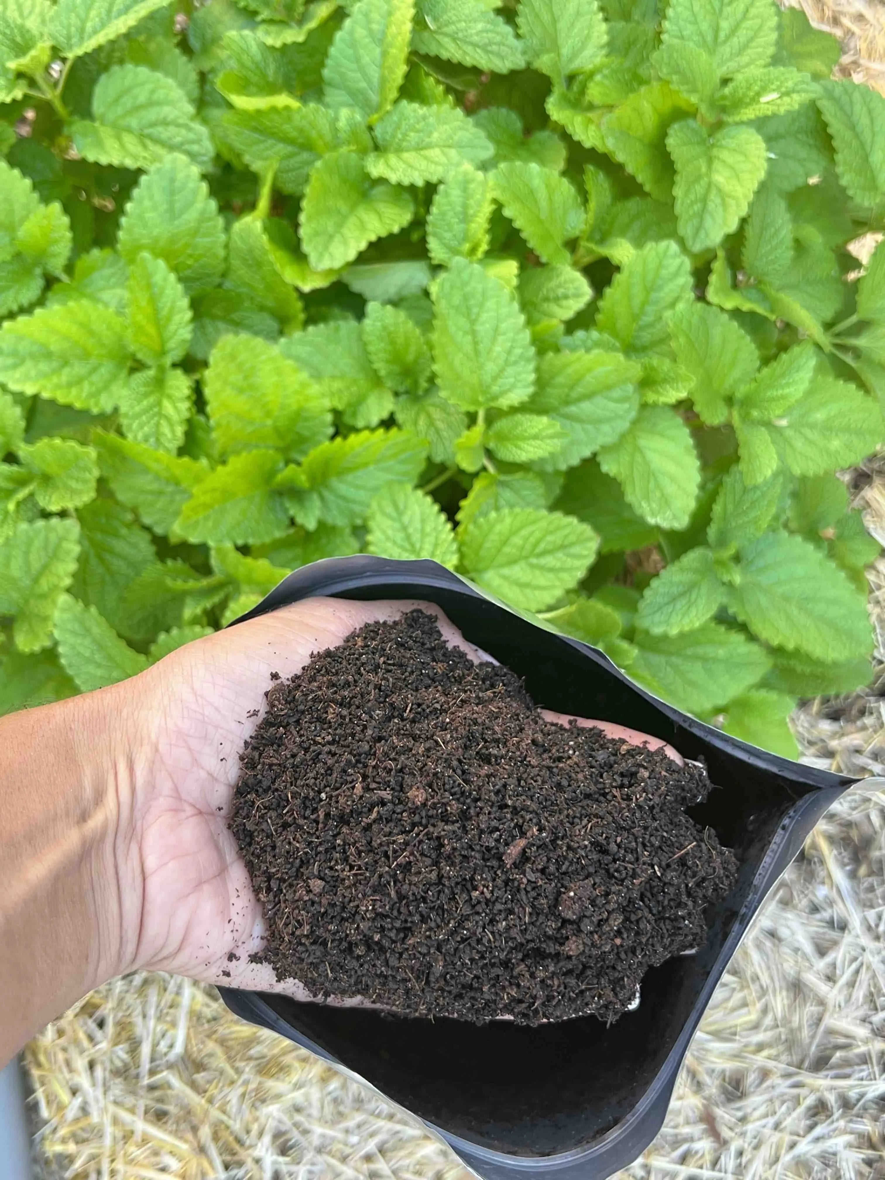 Oya™ Organic Fertilizer