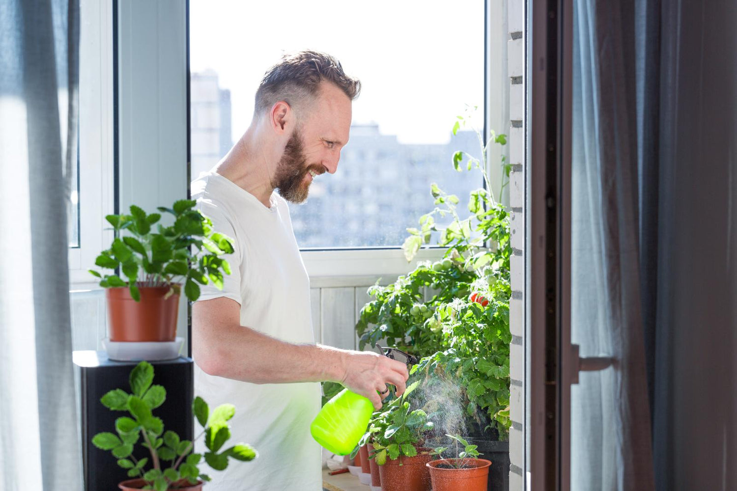 How to start a garden in an apartment