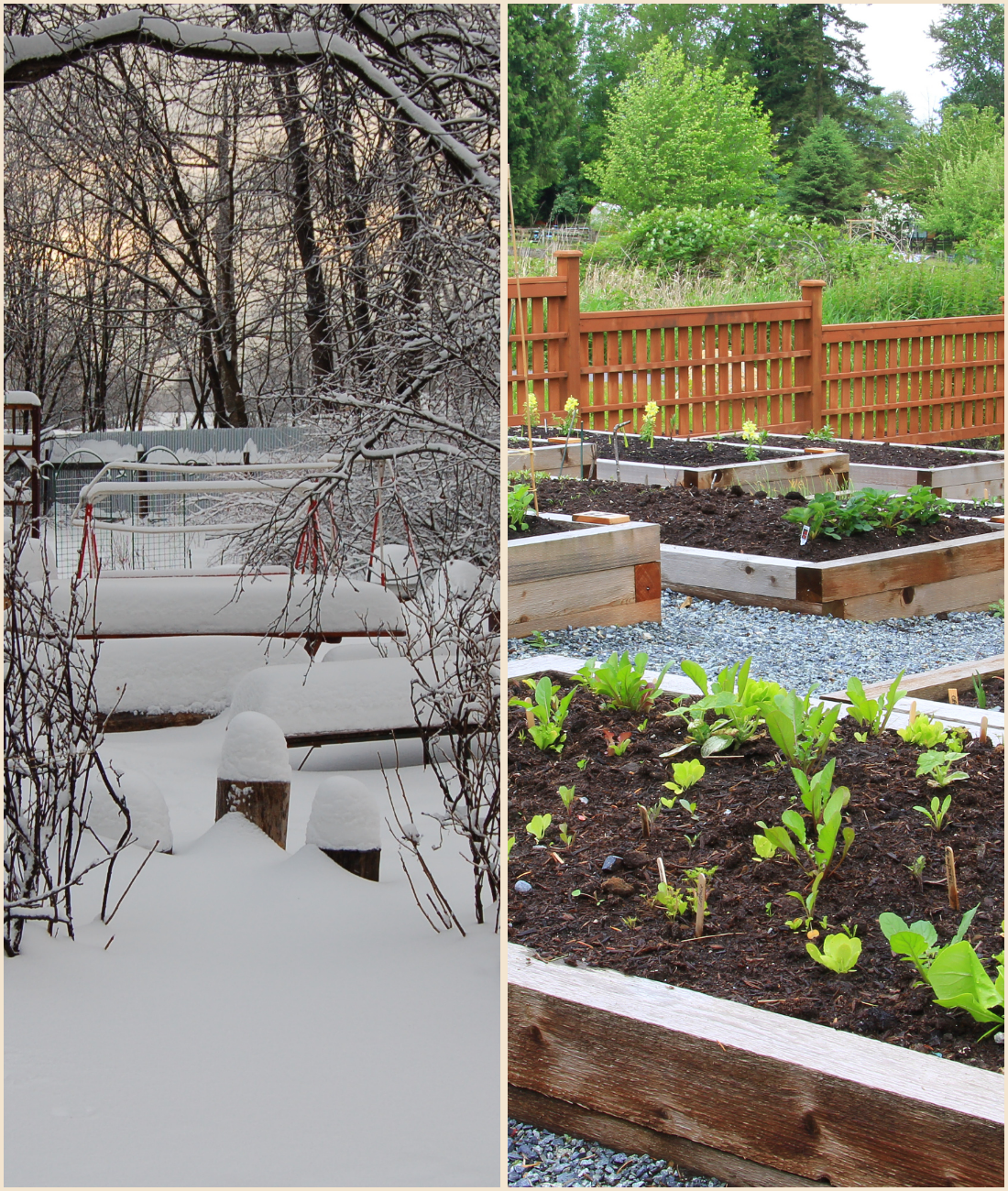 Winter Garden Projects by Zone: From Late Winter to Early Spring Success