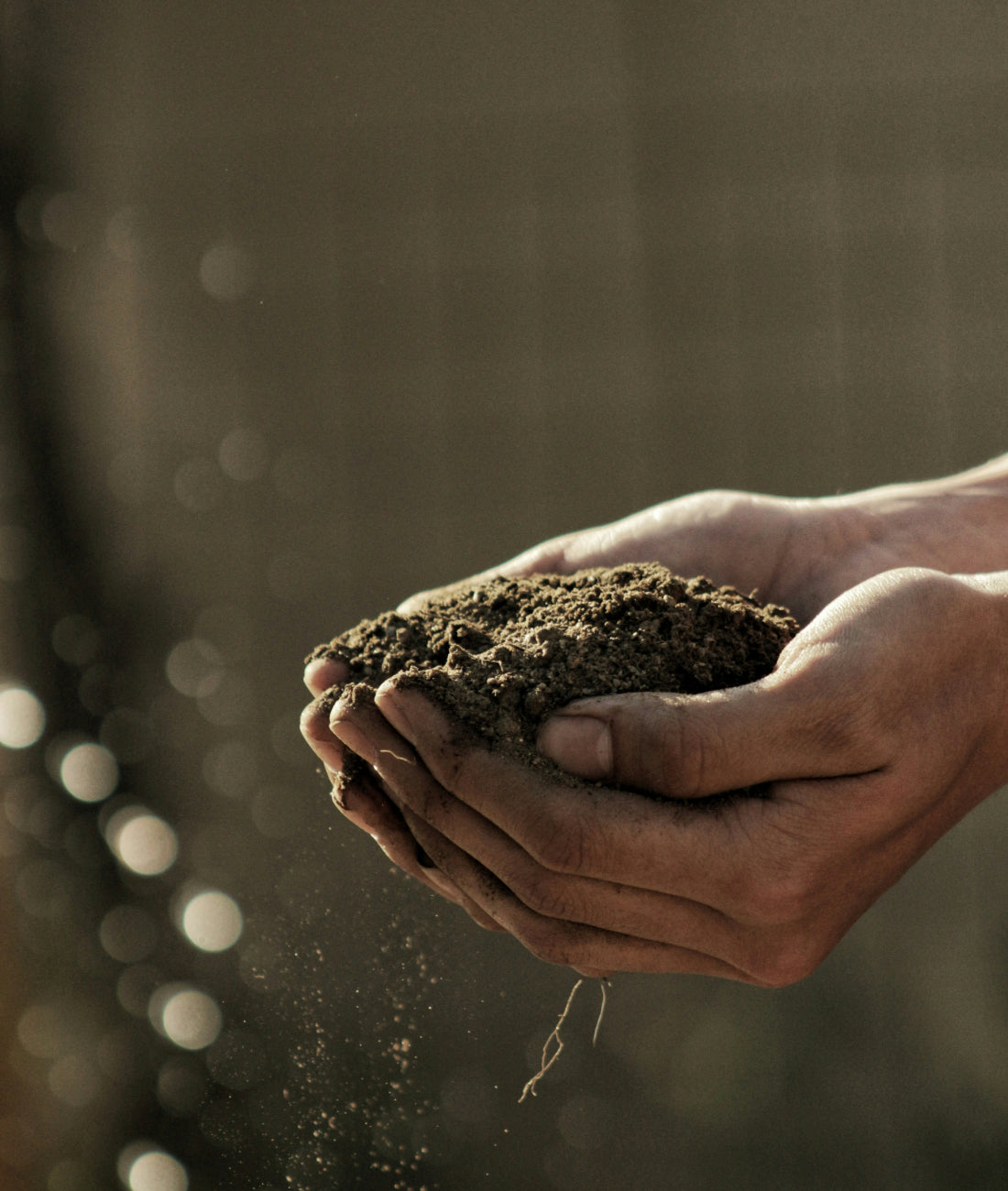 5 Tips For Preparing Your Garden Beds: A Deep Dive into the Joy of Soil