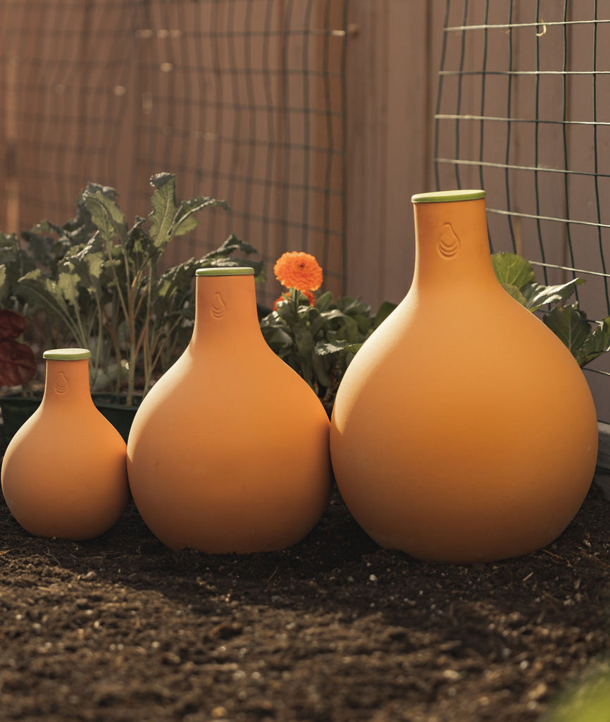 How to use Oya Watering Pots in the garden