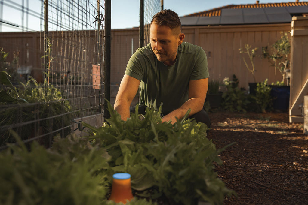 3 Best Ways to Save Water in the Garden (And Still Grow Thriving Plants)