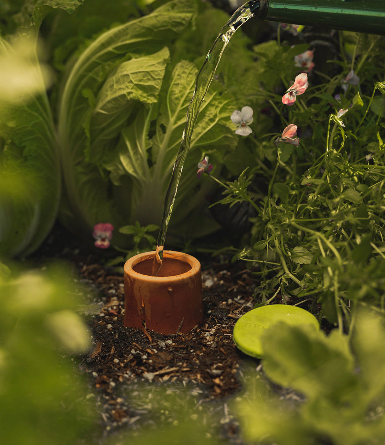Buy Olla Terracotta Irrigation Pot — The Worm that Turned - revitalising  your outdoor space
