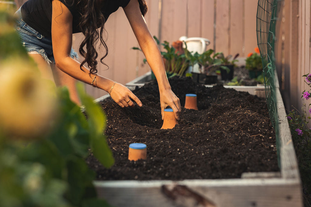 Grow Oya In-Garden Watering Pot - Urban Worm Company