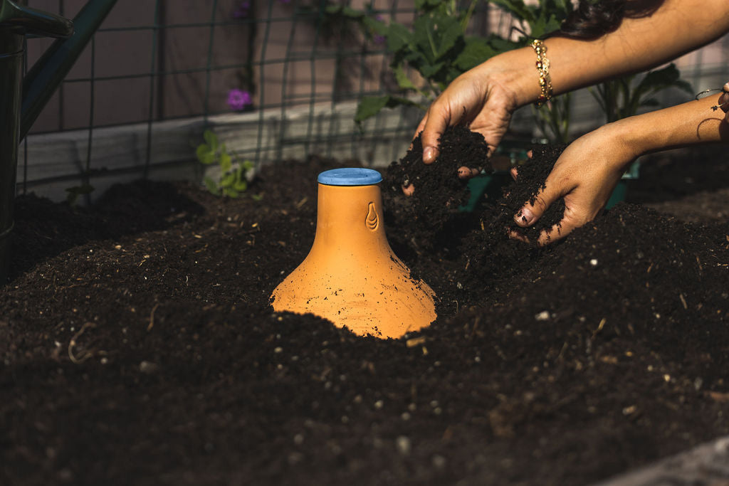How to Make an Olla for Effortless Garden Irrigation